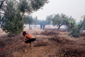 Χωρίς ενεργό μέτωπο η φωτιά στην Εύβοια