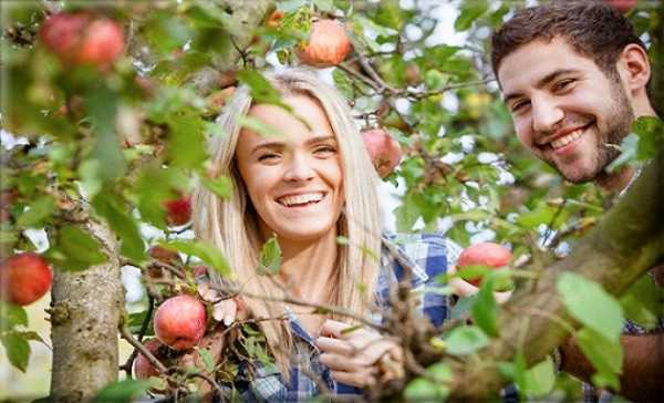 Η Οικογενειακή Γεωργία Εγγυητής της διατροφικής επάρκειας