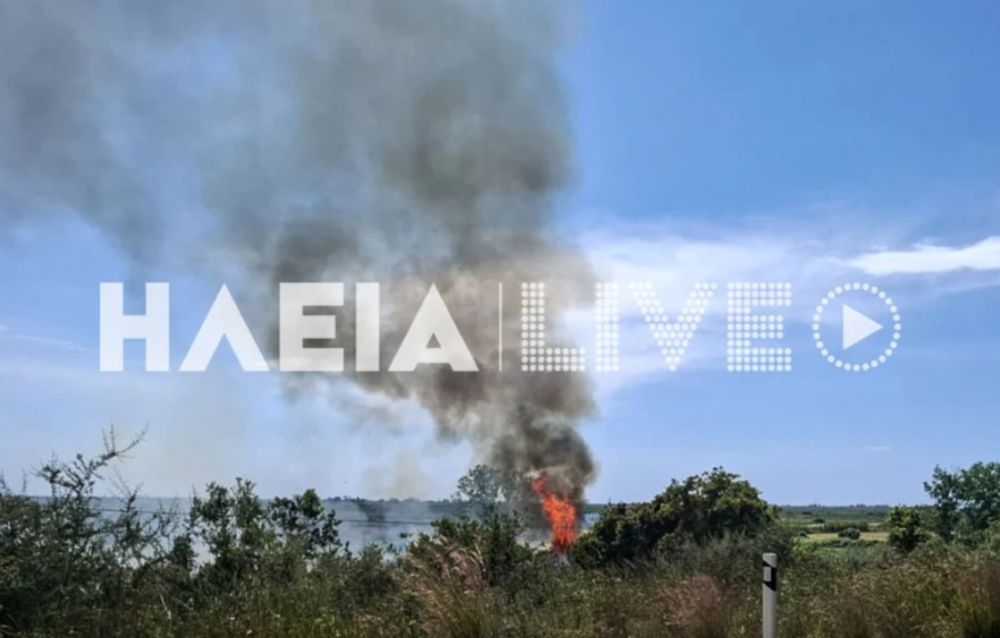 Φωτιά τώρα στην Ηλεία