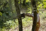 Παρατείνεται η προθεσμία υποβολής αντιρρήσεων για τους δασικούς χάρτες