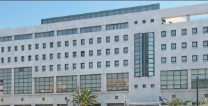 31ος Εισαγωγικός Διαγωνισμός ΕΣΔΔΑ 2025 - Προβλήματα με ηλικίες (Γνώσεις & Δεξιότητες)