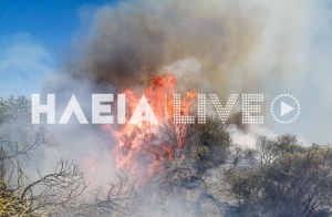 Φωτιά τώρα στην Ηλεία - Τέσσερα εναέρια μέσα στη «μάχη»