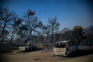 Ζάγκας: Αυτός είναι ο λόγος που η Εύβοια έχει κάθε χρόνο πυρκαγιές