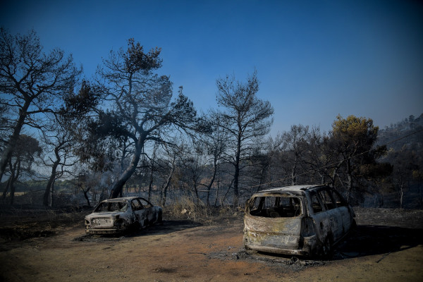 Ζάγκας: Αυτός είναι ο λόγος που η Εύβοια έχει κάθε χρόνο πυρκαγιές