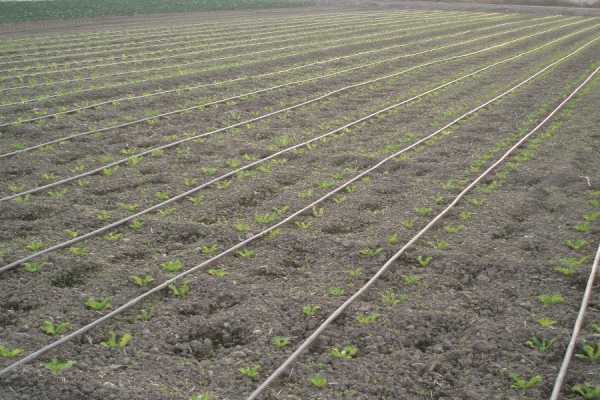 Παράταση για τις αιτήσεις εγγραφής στο μητρώο σημείων υδροληψίας