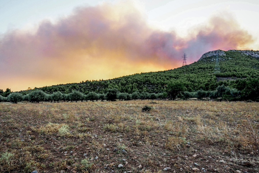 Φωτιά στην Εύβοια: Οριοθετήθηκε το μέτωπο