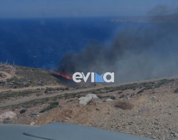 Φωτιά τώρα στον Αντιά Καρύστου - 6 εναέρια στη μάχη με τις φλόγες