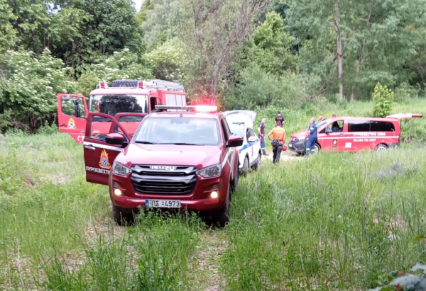Δράμα: Αγωνία μετά την επίθεση αρκούδας σε ορειβάτες - Ο ένας «έπεσε σε γκρεμό 1.000 μ.»