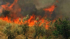 Μαίνεται η πυρκαγιά στον Καραβάδο Κεφαλονιάς