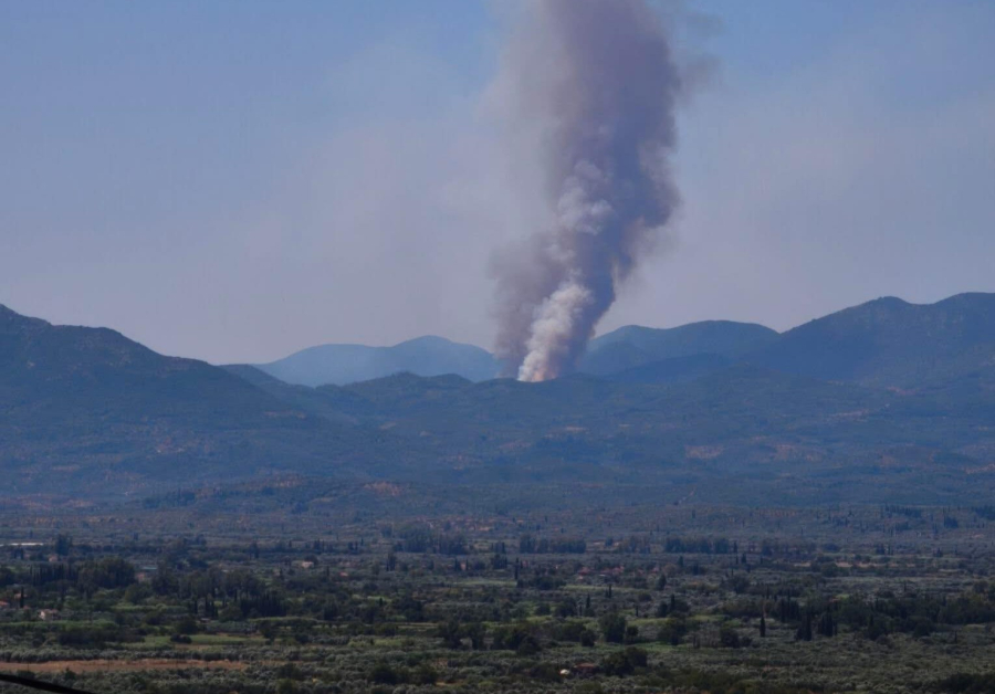 Μεγάλη φωτιά στα Πετράλωνα Μεσσηνίας - Πλησιάζουν σπίτια οι φλόγες