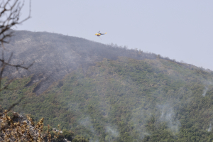 O χειρότερος μήνας τα τελευταία 13 χρόνια o φετινός Ιούλιος για τις πυρκαγιές