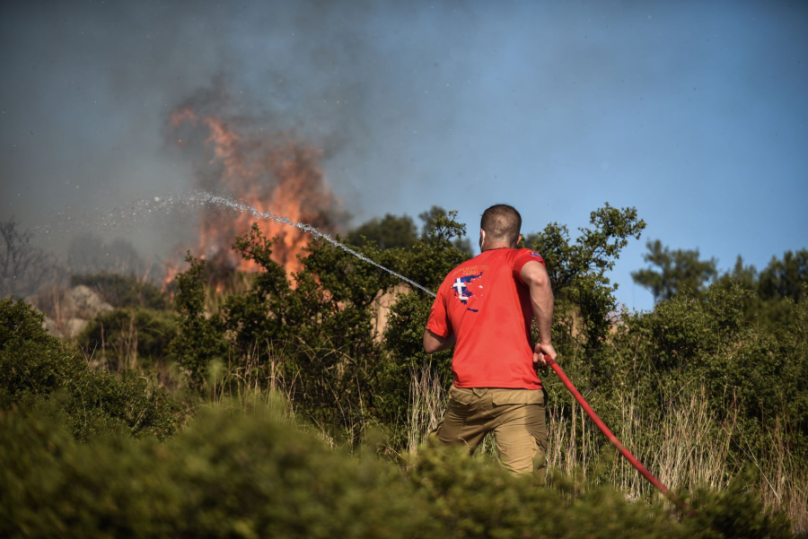 Φωτιά σε δασική έκταση και κοντά σε σπίτια στην Κύμη της Εύβοιας