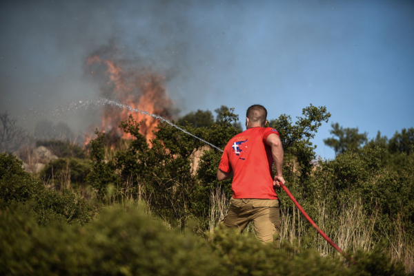 Φωτιά σε δασική έκταση και κοντά σε σπίτια στην Κύμη της Εύβοιας
