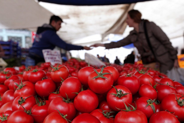 Κατασχέθηκαν 966 κιλά ντομάτες- δηλητήριο