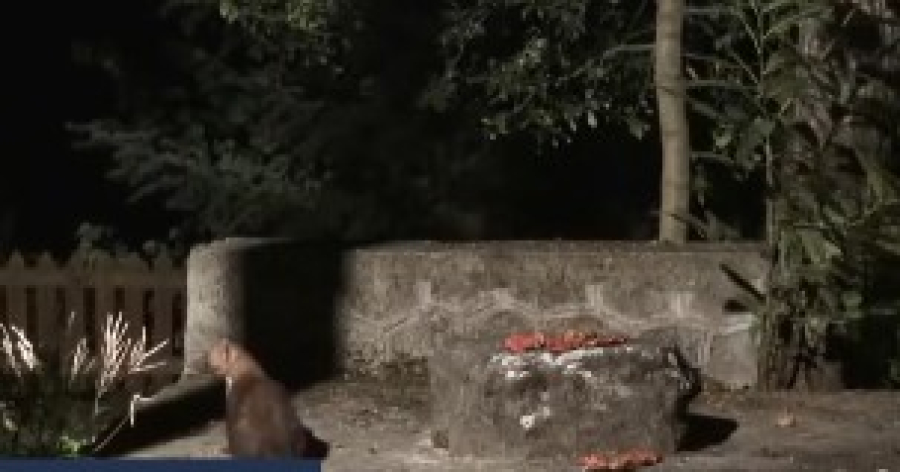 Ένα πετροκούναβο... βύθισε στο σκοτάδι τον μισό νομό Καστοριάς