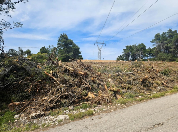 «Βόμβα» από τον Συνήγορο του Πολίτη για τις εκθέσεις πυροπροστασίας