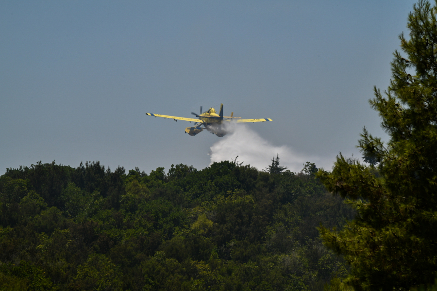 Σε εξέλιξη η φωτιά στα Μεσοχώρια της Εύβοιας: Νέο μήνυμα του 112 για εκκένωση του Λιμνιώνα