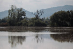 Photo: eurokinissi