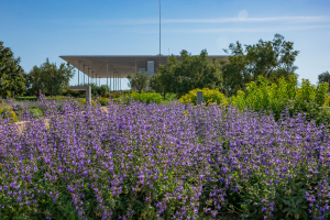 Δωρεάν εκδηλώσεις για την Πρωτομαγιά στο Κέντρο Πολιτισμού Ίδρυμα Σταύρος Νιάρχος