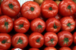 Δέσμευσαν 2,5 τόνους ντομάτες από του Ρέντη