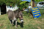 photo: Eurokinissi