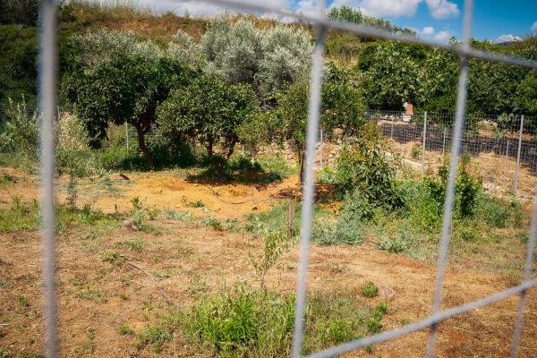 Σταυρούλα Λεβεντάκη: Η συγγνώμη της συντρόφου του 43χρονου Σκοπιανού στην οικογένεια και τους συγγενείς