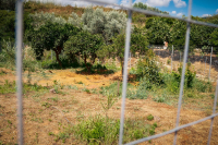 Σταυρούλα Λεβεντάκη: Η συγγνώμη της συντρόφου του 43χρονου Σκοπιανού στην οικογένεια και τους συγγενείς