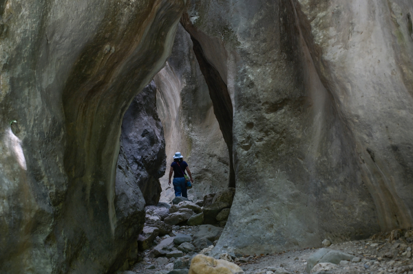 Ρεκόρ επισκεπτών στο Φαράγγι της Σαμαριάς