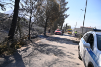 Από αγροτικές εργασίες οι φωτιές σε Αργολίδα και Ηλεία - Συνολικά 11 συλλήψεις για εμπρησμούς και αμέλεια
