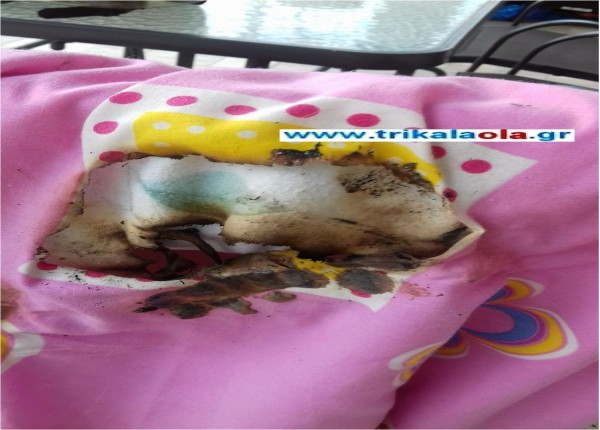 Τρίκαλα: Έξερράγη power bank που βρισκόταν εκτός φόρτισης και λειτουργίας (pics)