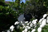 «Καλοκαιρινή» Μεγάλη Τρίτη με τον υδράργυρο να περνά τους 20 βαθμούς