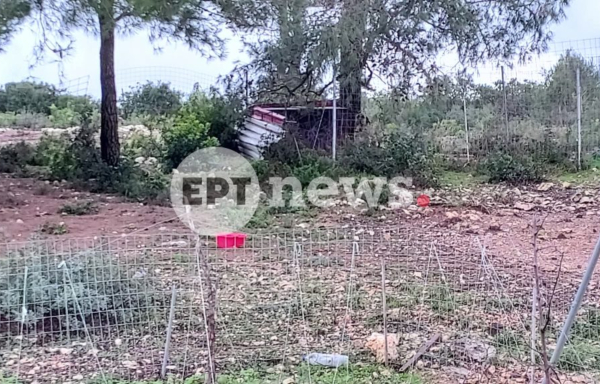 Τραγωδία στη Ζάκυνθο: Νέα στοιχεία - Ο πατέρας «προσπάθησε απεγνωσμένα» να σώσει το παιδί