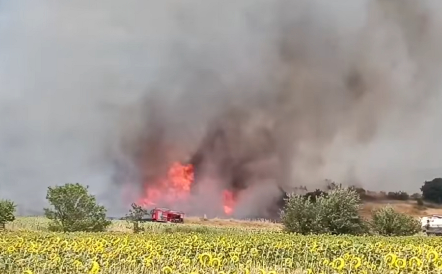 Φωτιά σε εργοστάσιο στις Σέρρες: Μήνυμα από το 112, αυξήθηκαν οι δυνάμεις