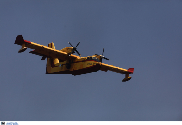 Φωτιά τώρα στη Βοιωτία - Ήχησε 112