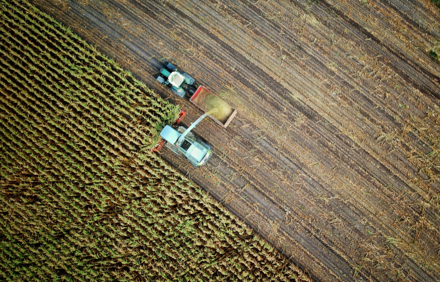 ΟΠΕΚΕΠΕ: Διώκεται η υπάλληλος που αποκάλυψε το σκάνδαλο εκατομμυρίων