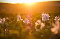 Φωτογραφία: Unsplash