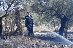Υπό έλεγχο η πυρκαγιά στην Κεφαλονιά