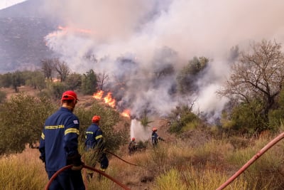 Φωτιές σε Έβρο και Βοιωτία: Μάχη με τις αναζωπυρώσεις, οι εξελίξεις στα πύρινα μέτωπα