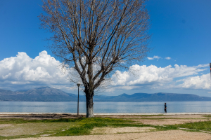 Συνελήφθη 23χρονος επίδοξος βιαστής, είχε επιτεθεί σε 69χρονη σε παραλία του Ωρωπού