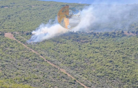 Φωτιά τώρα στη Θήβα: 112 στον Άγιο Βασίλειο