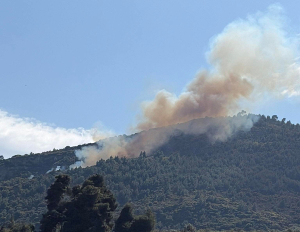 Μαίνεται η φωτιά στην Άμπελο Αχαΐας - Συνελήφθη 51χρονος