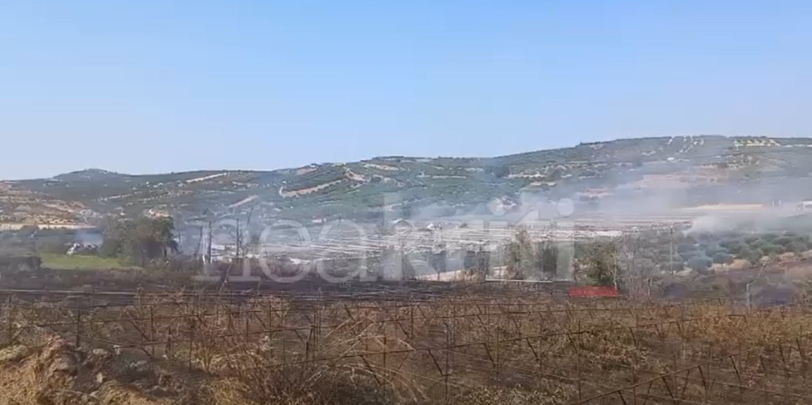 Φωτογραφία: neakriti.gr