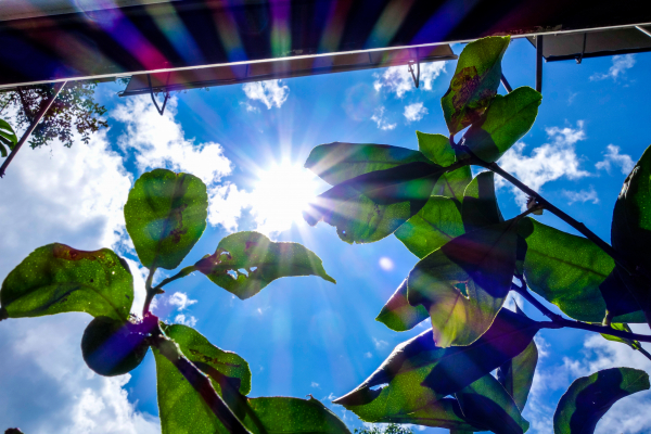 Καιρός σήμερα: Ηλιοφάνεια και ζέστη, πού αναμένονται τοπικές βροχές