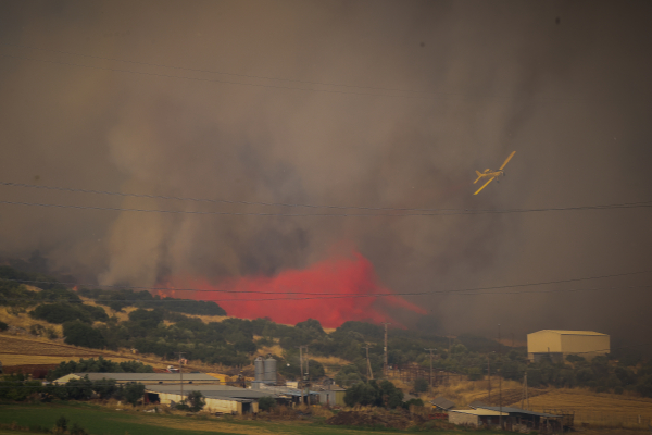 Φωτιά στη Φθιώτιδα: 31 εναέρια και 155 πυροσβέστες στη μάχη με τις φλόγες (Εικόνες - Βίντεο)