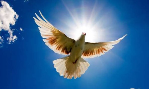 Αγίου Πνεύματος 2018: Πως λειτουργούν τα καταστήματα, για ποιους είναι αργία