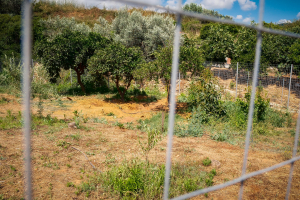 Σταυρούλα Λεβεντάκη: Το βίντεο και οι αντιφάσεις που πρόδωσαν τον δολοφόνο - Βρέθηκε δεμένη και με δύο μαχαιριές στο στήθος