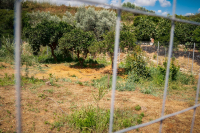 Σταυρούλα Λεβεντάκη: Το βίντεο και οι αντιφάσεις που πρόδωσαν τον δολοφόνο - Βρέθηκε δεμένη και με δύο μαχαιριές στο στήθος