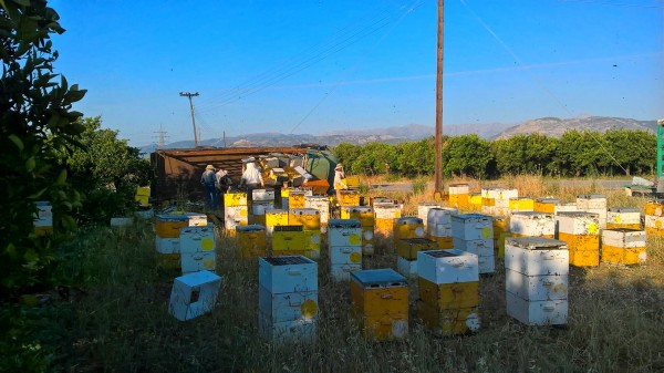 photo: Αρχείο Dikaiologitika News