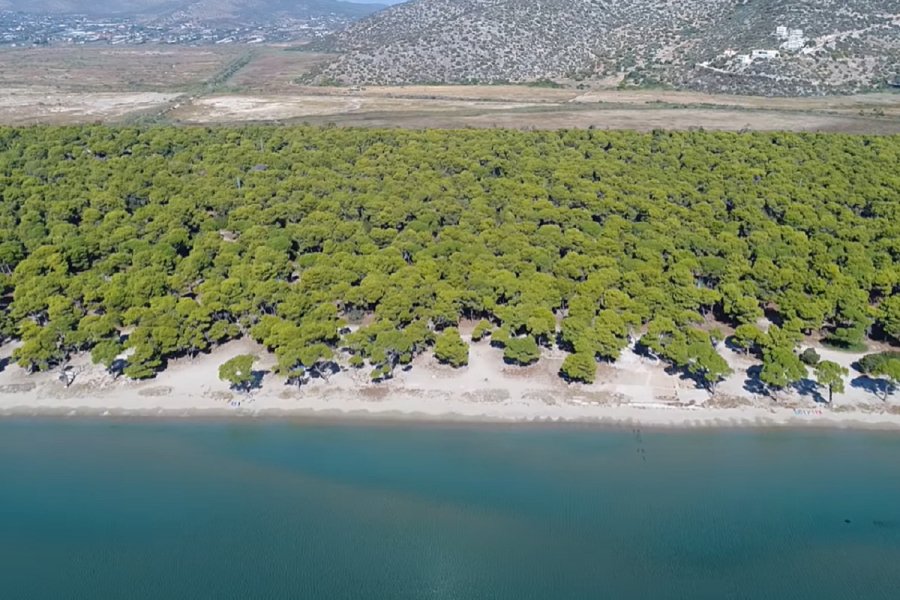 Αυτή είναι η μεγαλύτερη παραλία της Αττικής