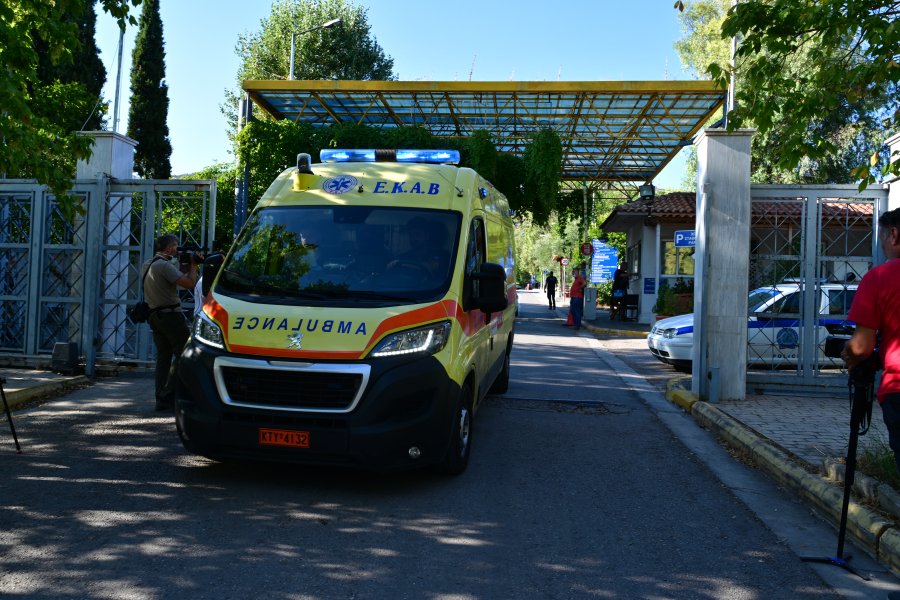 Θεσσαλονίκη: Εξιτήριο πήρε η 4χρονη που δέχθηκε επίθεση από άγριο ζώο